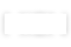 Barrows Partner MiEN